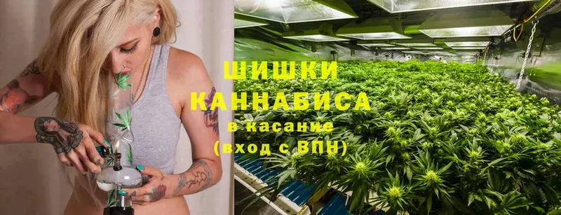 где купить наркоту  Сертолово  Марихуана White Widow 